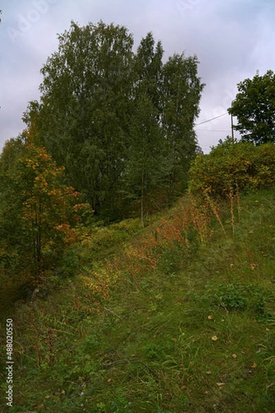 Obraz _DSC20200929l20