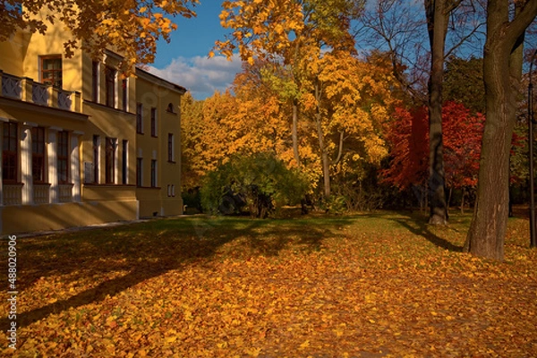 Obraz _DSC20211002Pl6