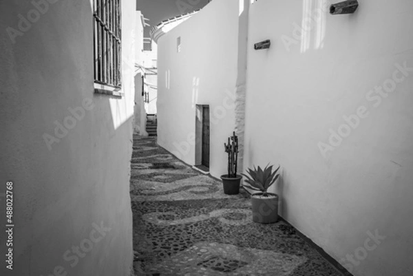 Obraz Frigiliana, Malaga, Spain. Sunny spring day street travel view. Mosaic walking path in black and white