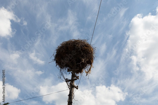 Fototapeta empty stork nest