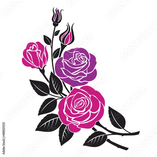 Obraz Vector illustration of rose flowers isolated on white background. Floral decoration for design