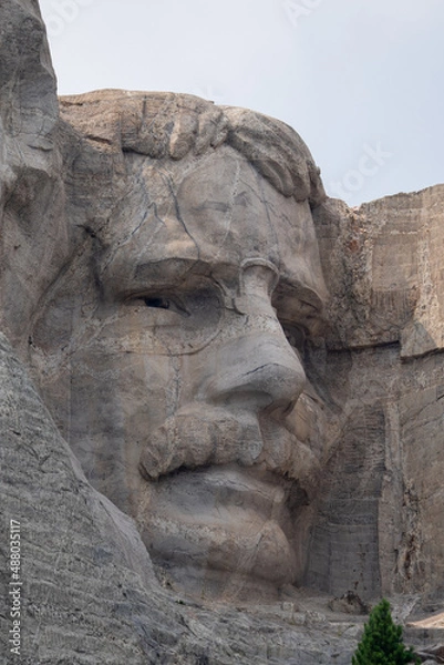 Obraz Theodore Roosevelt on Mount Rushmore