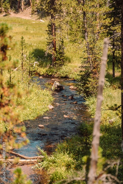 Obraz Creek running through the woods 