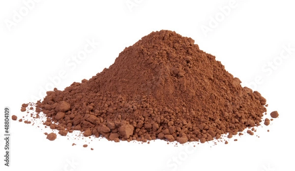 Fototapeta Cocoa powder