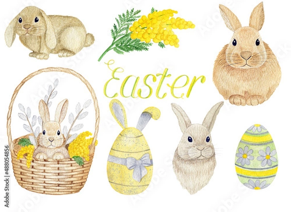 Fototapeta Watercolor set. Set of Easter elements and symbols. Rabbits, mimosa, easter eggs