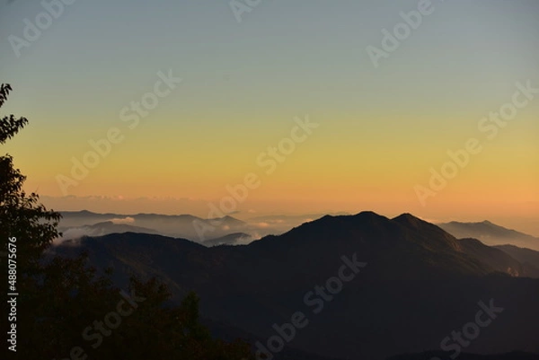 Fototapeta tropical forest landscape scene for using in concept of environmental ecology and sustainable energy or Earth day