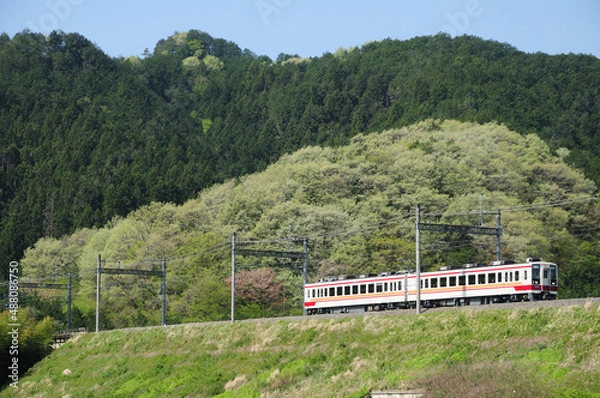 Obraz 新緑の東武日光線を走る6050型普通列車