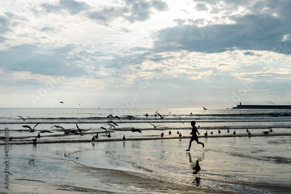 Fototapeta Boy running along the beach at sunset amidst a crowd of seagulls soaring overhead
