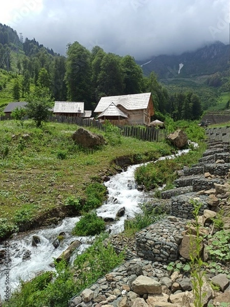 Obraz a beautiful wooden house on the bank of a mountain river, surrounded by green lawns.