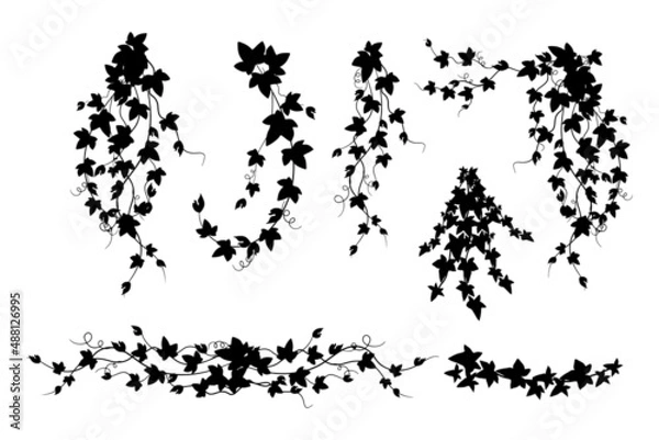 Obraz Vector hand drawn big collection with wild and medicinal herbs. Hand drawn botanical sketch with plants and flowers. For print, card, wrapping and other natural herbal design.Ink sketch lack and white