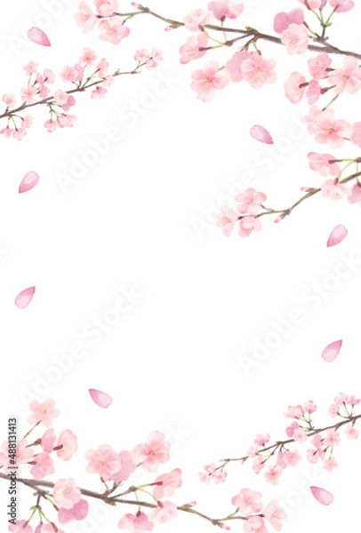 Obraz 水彩風の優しい色合い桜