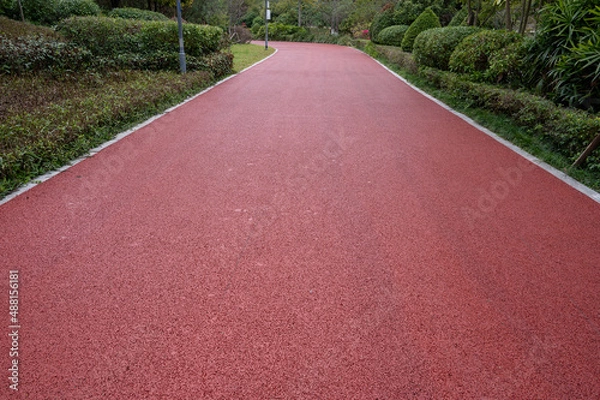 Fototapeta The red asphalt runway in the modern city park is surrounded by green plants on both sides