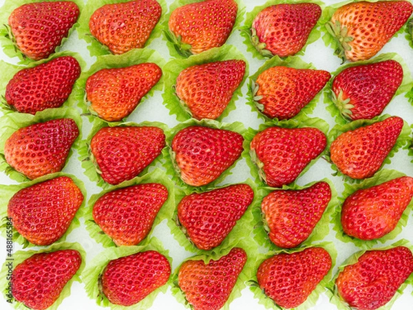 Obraz 선물을 위한 신선한 딸기 포장