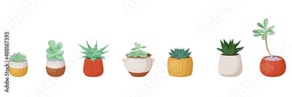 Obraz Set of different types of succulent plants in flower pots. Vector illustration