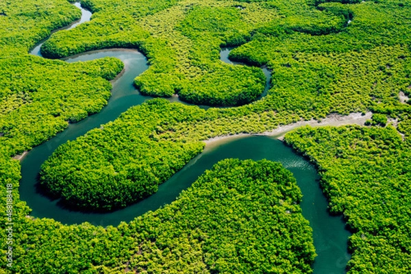 Obraz Ekosystem i zdrowe środowisko. Pojęcia i pochodzenie natury. Tropikalne lasy deszczowe. Aerial Top View.