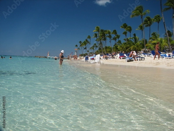 Fototapeta woda na plaży i palma