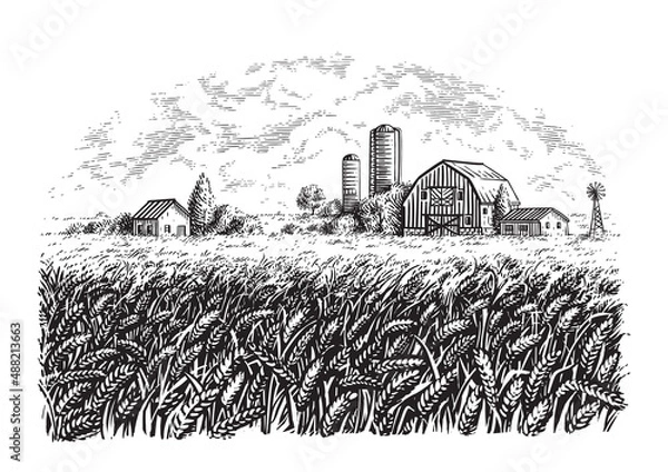 Fototapeta field hand drawing sketch engraving illustration style hand drawing sketch engraving illustration style