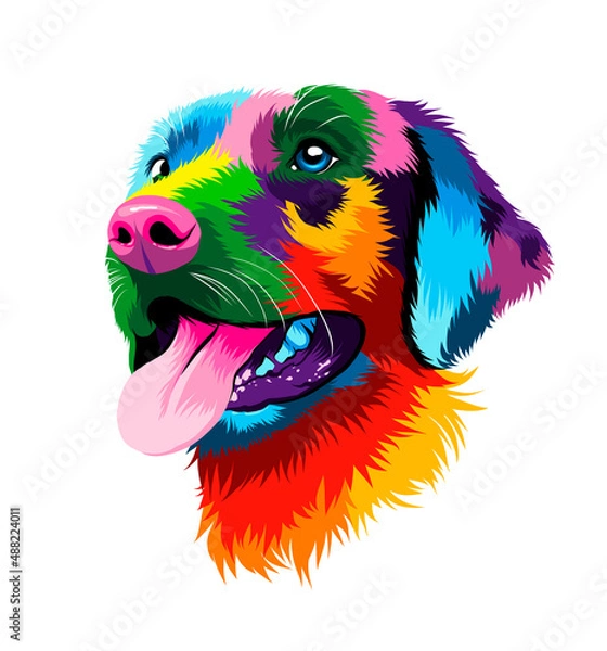 Fototapeta Abstract portrait of the head of a Labrador retriever from multicolored paints. Colored drawing. Puppy muzzle portrait, dog muzzle. Vector illustration of paints