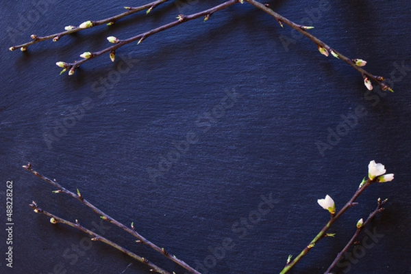 Obraz Bird eye top view picture of a black stone background with blooming spring branches 