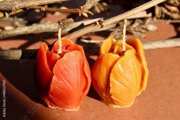 Fototapeta Beeswax candles, DIY hobby, startup business, handmade 