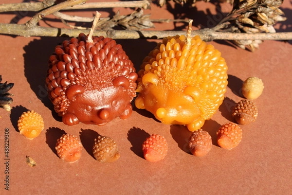 Fototapeta Beeswax candles in a shape of hedgehog family, DIY hobby, startup business, handmade 