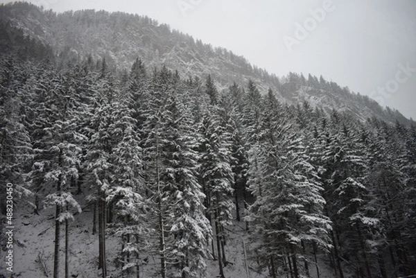 Obraz Berge im Winter