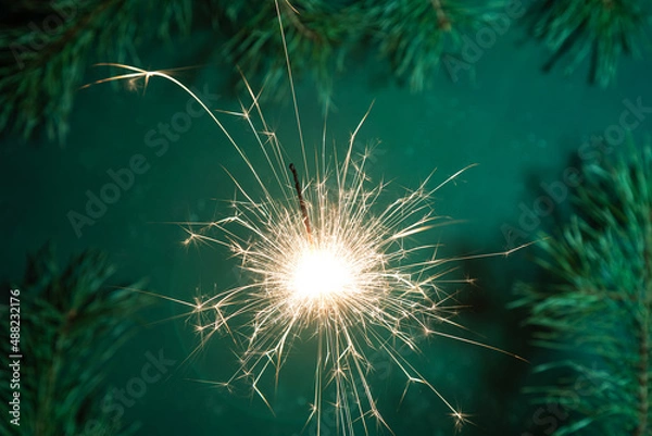 Fototapeta Burning sparkler with sparkles on a long shutter speed. Dark green background decorated with branches fir tree and pine