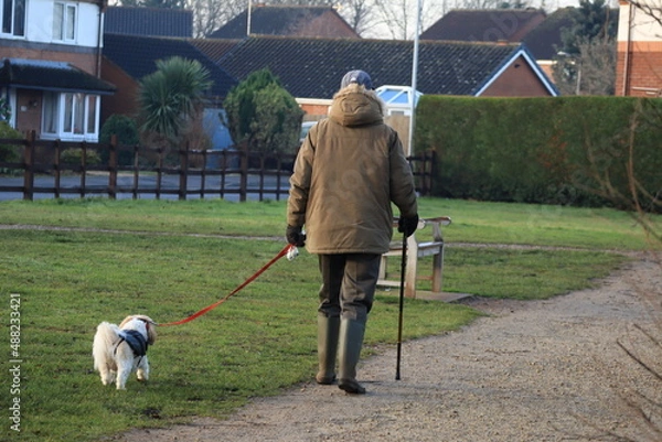 Fototapeta Old man with  walking sticking walking  a dog on a lead in England on a cold day