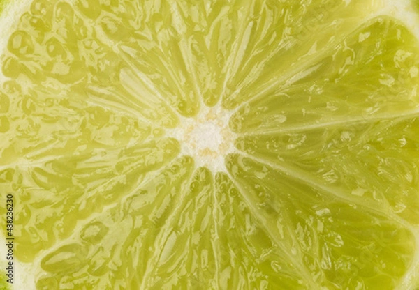 Fototapeta Lime slice close up. Nutrition and healthy lifestyle concepts. Background for inserting text.