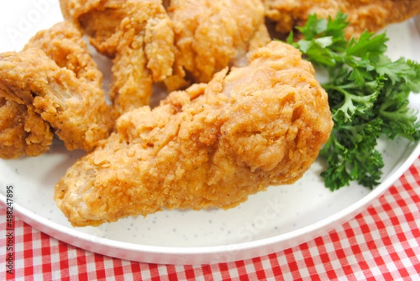 Fototapeta Close Up of a Southern Fried Chicken Leg in a Picnic Setting