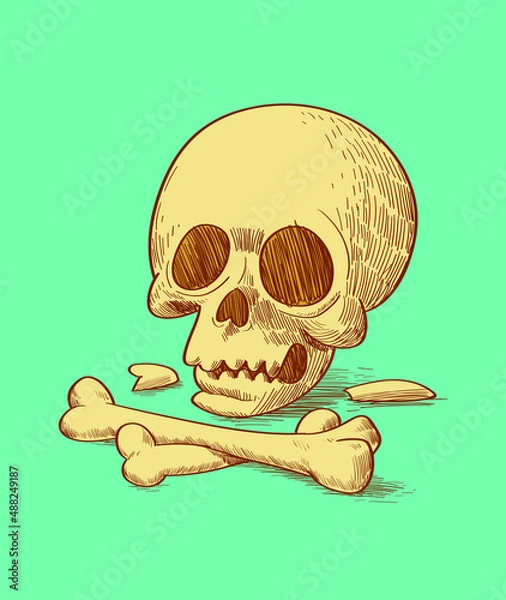 Fototapeta  hand drawn human skull with bones