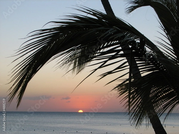 Fototapeta dłoń na słońcu