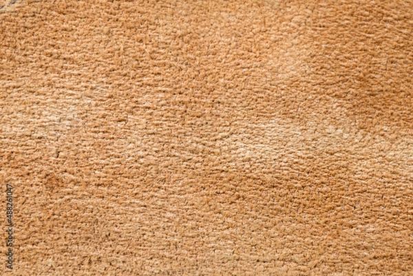 Fototapeta Roughly processed thick strong camel leather, close, close-up