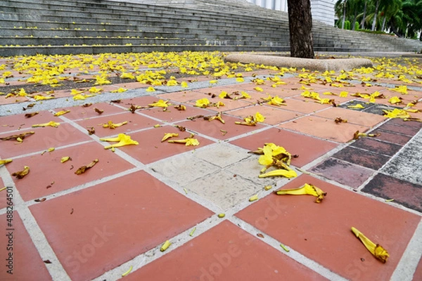 Fototapeta Yellow flowers fall on the ground with natural background.