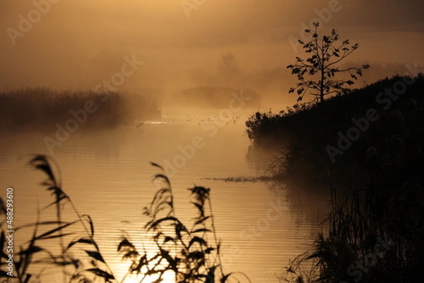 Obraz 朝霧の夜明け