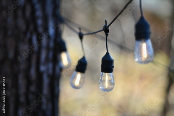 Fototapeta 点灯した電球