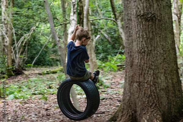 Obraz Boy on tree swing in forest