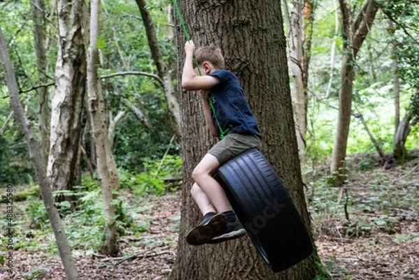 Obraz Boy on tree swing in forest