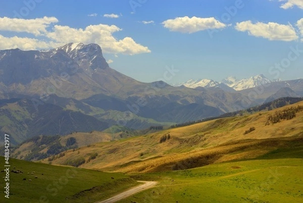 Fototapeta Spring in mountains