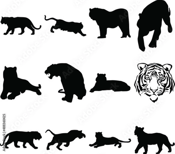 Obraz Tiger Silhouette