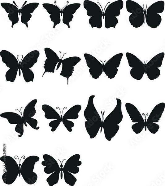 Obraz Butterfly silhouette