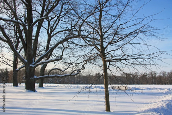 Obraz Der winterlandschaft am finnischen meerbusen