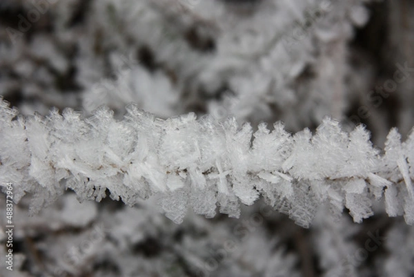 Obraz Winter. Die natur im Frost