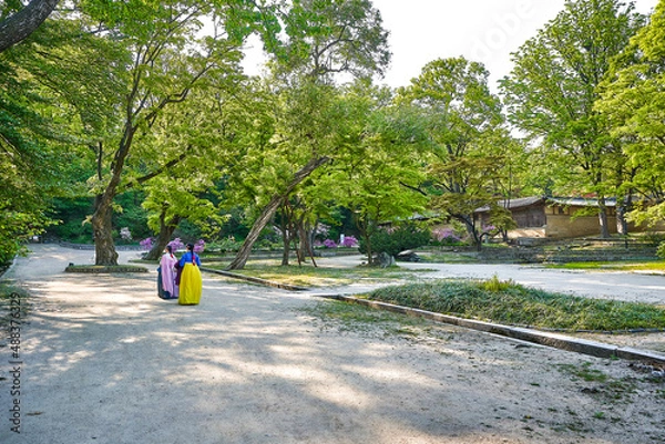 Obraz 비원의 한복입은 여인들