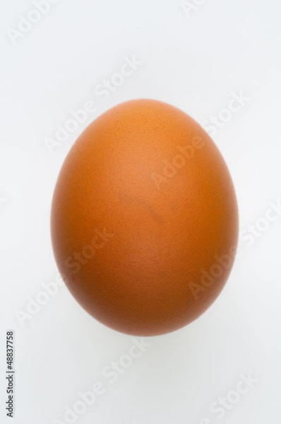 Fototapeta Jajko