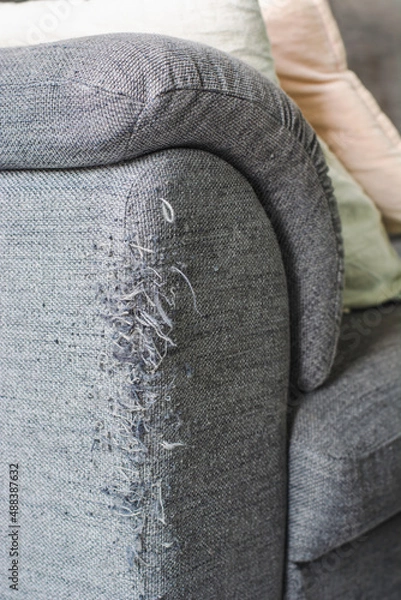 Fototapeta A ragged corner of the sofa that had been ruined by cat claws. Cat scratched the couch.
