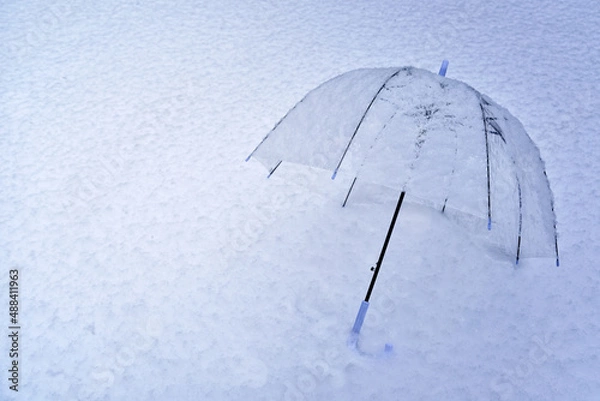 Obraz umbrella in snow