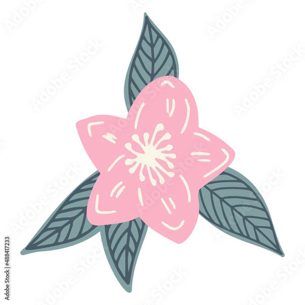 Obraz Isolated vector set of abstract colorful blossoming sakura flowers with green leaves