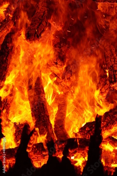 Obraz fire in the fireplace3