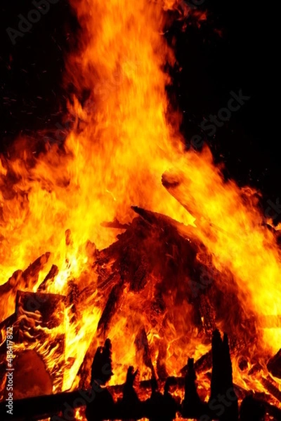 Obraz fire in the fireplace3